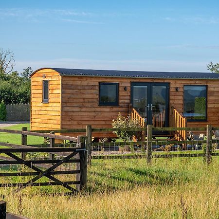 Abberley Shepherds Hut - Ockeridge Rural Retreats Hotel Wichenford Eksteriør billede