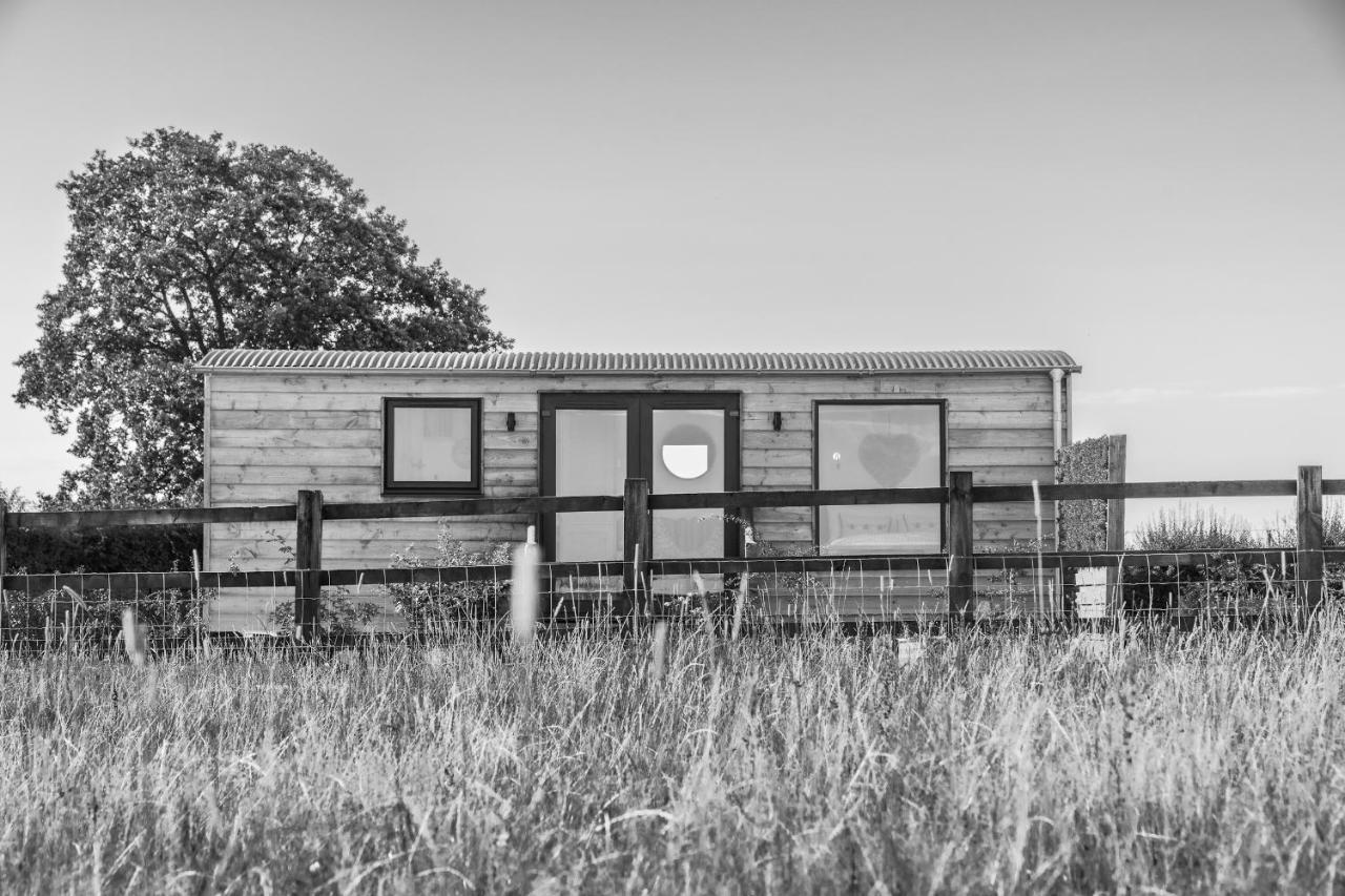 Abberley Shepherds Hut - Ockeridge Rural Retreats Hotel Wichenford Eksteriør billede