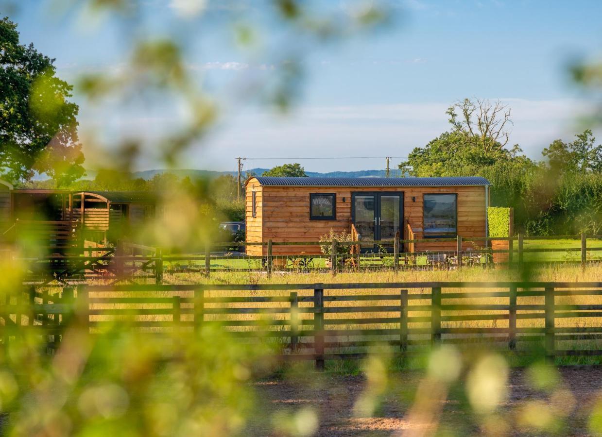 Abberley Shepherds Hut - Ockeridge Rural Retreats Hotel Wichenford Eksteriør billede