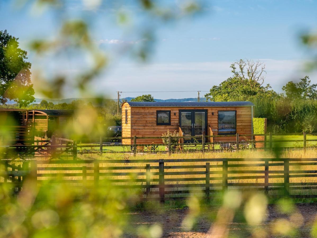 Abberley Shepherds Hut - Ockeridge Rural Retreats Hotel Wichenford Eksteriør billede