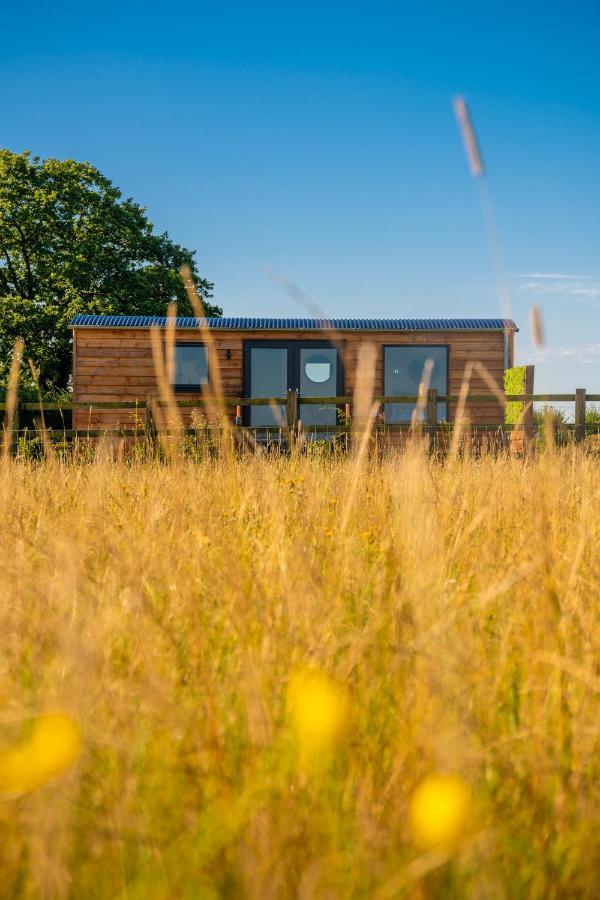 Abberley Shepherds Hut - Ockeridge Rural Retreats Hotel Wichenford Eksteriør billede